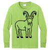 Youth Long Sleeve Core Cotton Tee Thumbnail