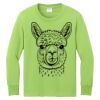 Youth Long Sleeve Core Cotton Tee Thumbnail