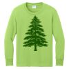 Youth Long Sleeve Core Cotton Tee Thumbnail