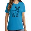 Women's Core Cotton Tee Thumbnail