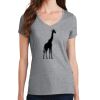 Women's Fan Favorite V Neck Tee Thumbnail
