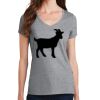 Women's Fan Favorite V Neck Tee Thumbnail