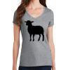 Women's Fan Favorite V Neck Tee Thumbnail