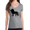 Women's Fan Favorite V Neck Tee Thumbnail