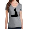 Women's Fan Favorite V Neck Tee Thumbnail