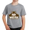 Youth Fan Favorite Tee Thumbnail