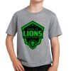 Youth Fan Favorite Tee Thumbnail