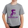 Youth Fan Favorite Tee Thumbnail