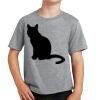 Youth Fan Favorite Tee Thumbnail
