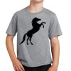 Youth Fan Favorite Tee Thumbnail