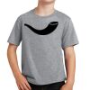 Youth Fan Favorite Tee Thumbnail