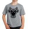Youth Fan Favorite Tee Thumbnail