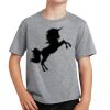 Youth Fan Favorite Tee Thumbnail
