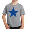 Youth Fan Favorite Tee Thumbnail